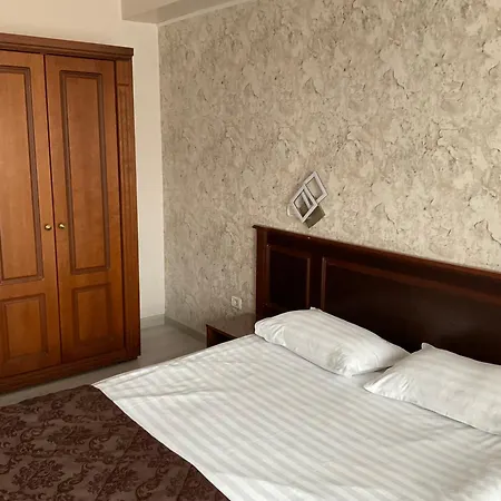 安娜酒店 酒店 3*