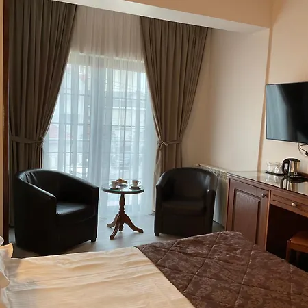 安娜酒店 3* 康斯坦察